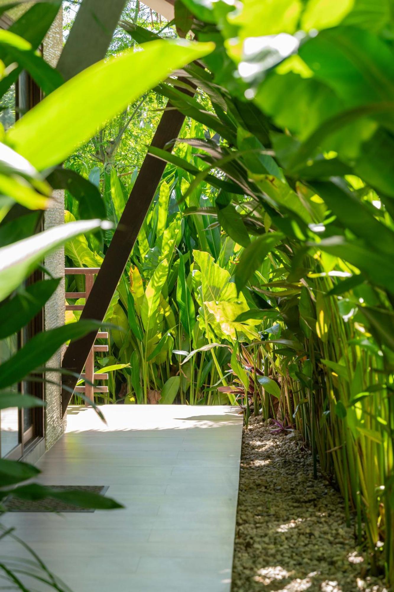 La Fuga Siargao Villa Catangnan Exterior photo